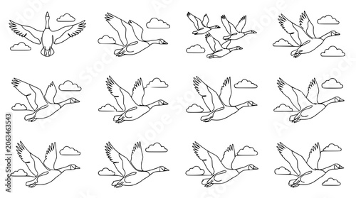 Obraz na płótnie Flock of Geese Flying in Formation, Outlined Style, Vector Graphics, Birds Migra
