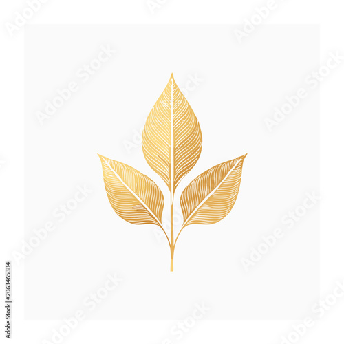 Golden Line Art Leaves on White Background