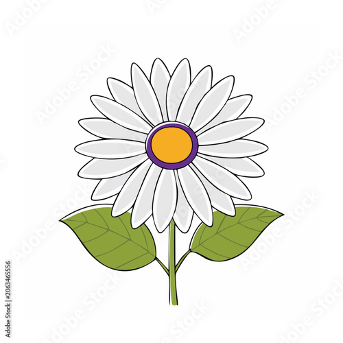 White daisy flower with green leaves illustration