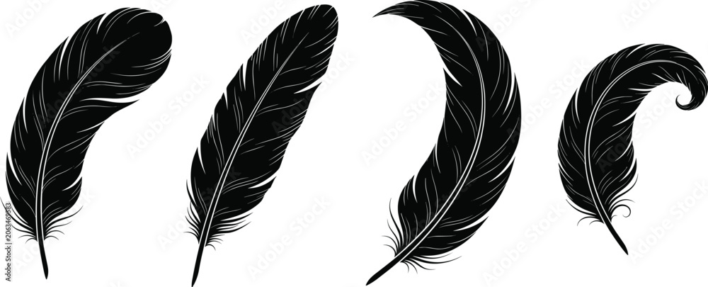 Obraz premium Black feather vector silhouettes set isolated on a white background for design elements and graphic decorations