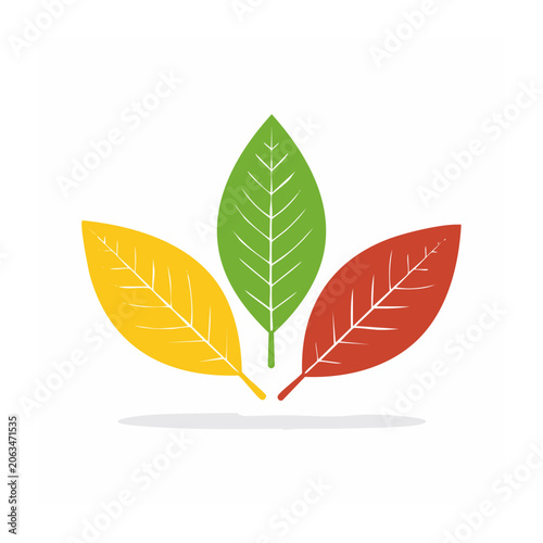 Three colorful leaves in flat design style