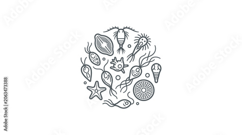 Circular arrangement of diverse plankton species line art.