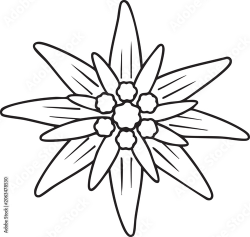 Simple line art illustration of an edelweiss flower with edelweiss