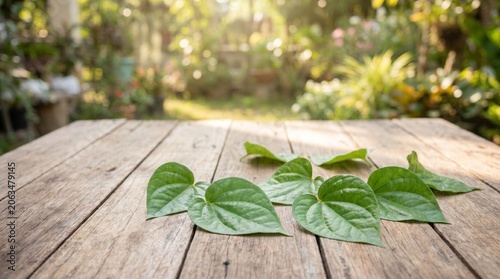 Fresh green betel leaves (Piper betle) placed on a rustic wooden table in a sunny garden background.