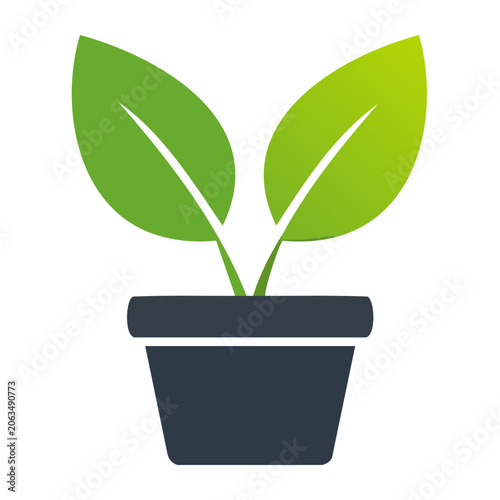 Flat design avocado with leaf isolated