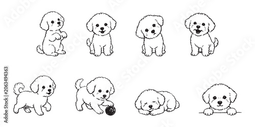 Fotografie Cute Fluffy Puppy Bichon Frise and Poodle Line Art Hand Drawn Vector Character S