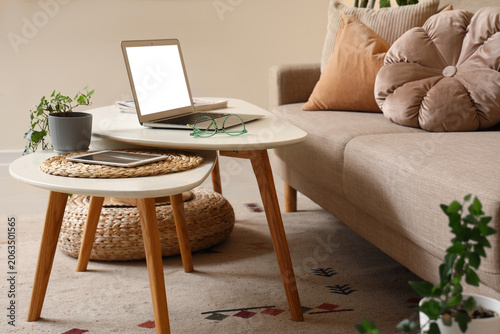 Houseplant, modern laptop a...