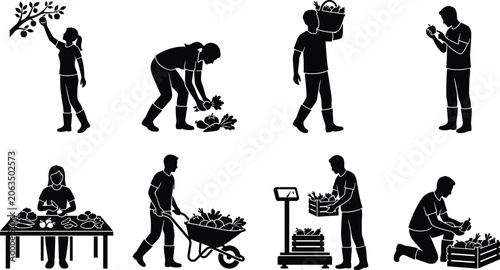 Foto People Harvesting Vegetables Silhouette Set, Farmers Picking Sorting and Weighin