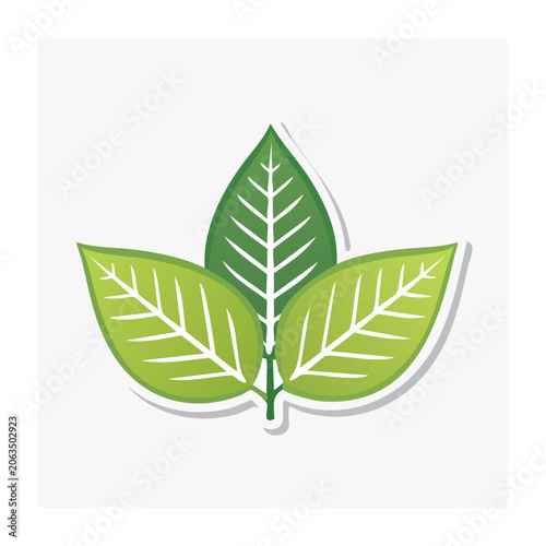 Green flat design leaf vector