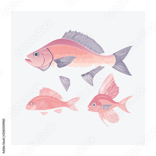 Pink fish and shell illustration on white background