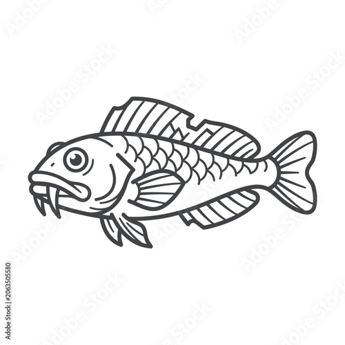 Foto Barbels goatfish line art illustration for educational use.