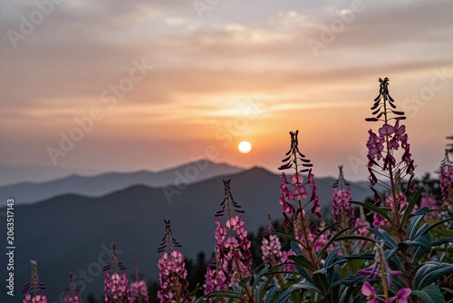 A bunch of flowers sitting on top of a wooden table