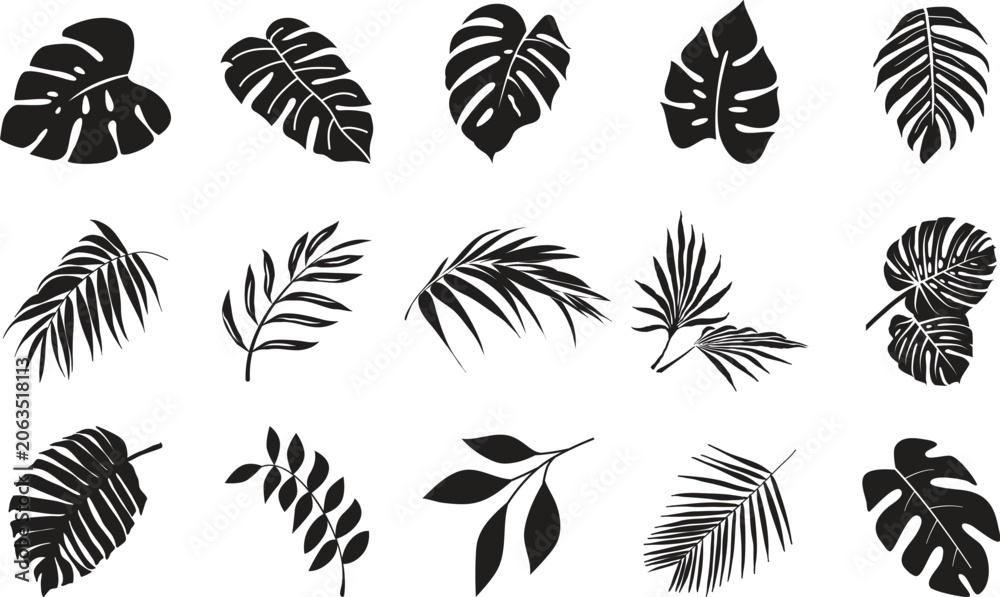 Fototapeta premium Tropical Leave Icon Vector set, Botanical Nature Symbol, Exotic Foliage Design, Jungle Plant Sign, Eco Element Collection, Organic Set, Leaf Group, Outline Graphic for Web and Print.