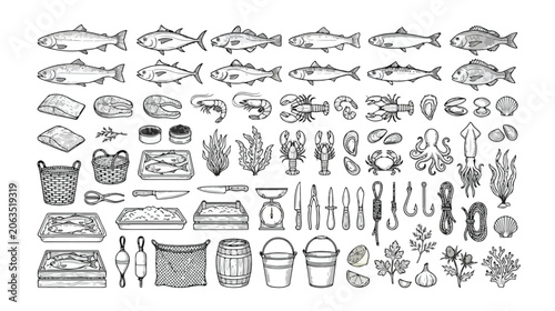 Photos Vintage seafood market vector set, hand-drawn engraving illustration of fish, sh