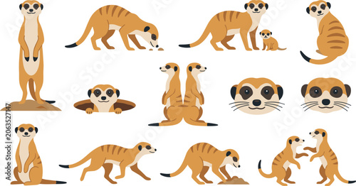 Cute meerkat cartoon character vector illustration set featuring adorable suricates standing on a mound foraging playing digging looking out of hole and animal head portraits