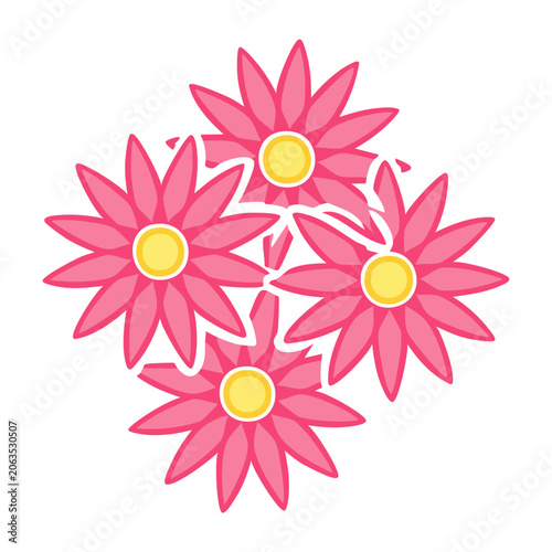 Pink flower vector with yellow centers