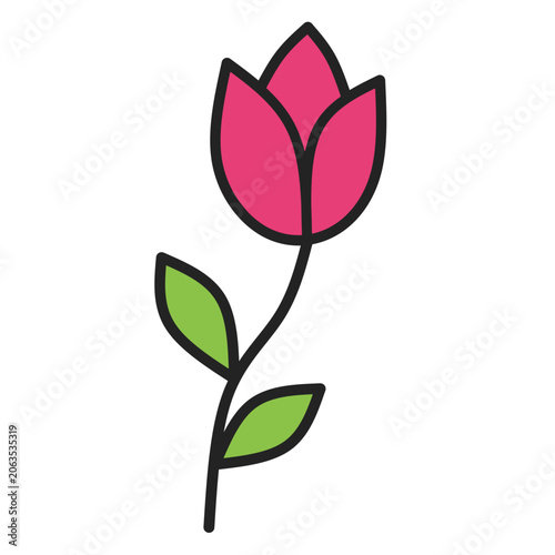 Pink tulip flower with green leaves, flat vector illustration of spring bloom and nature