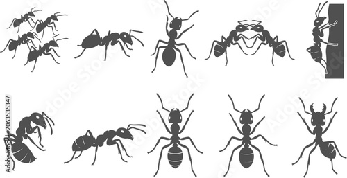 Foto Black ant silhouettes vector set showing various insect poses on a transparent b