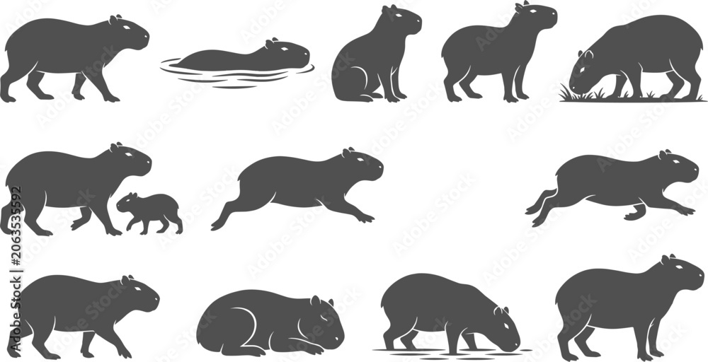 Fototapeta premium Capybara rodent silhouette set showing giant semi aquatic animals walking swimming and grazing
