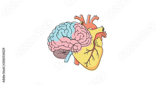 Stylized human brain illustration with blue and pink sections