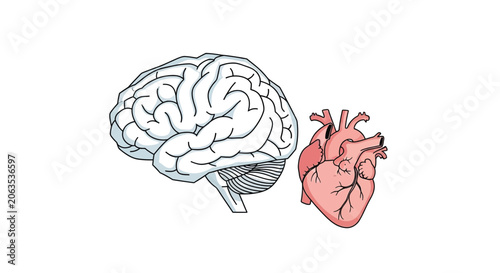 Stylized white brain drawing with dark outlines on white