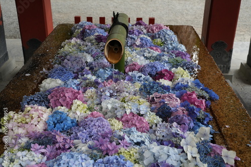 花手水  神社  鎌倉