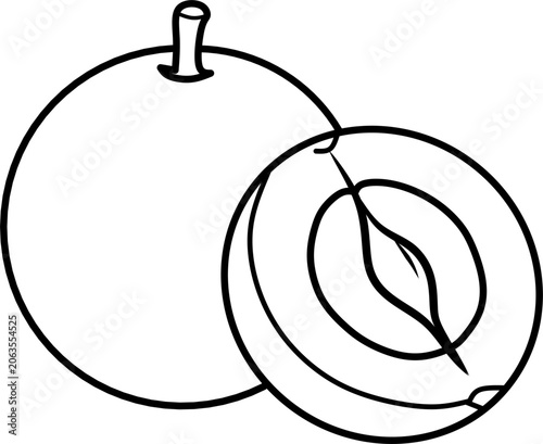 Simple sapodilla line art vector illustration featuring whole and cut sapodilla fruit. Perfect for coloring books, educational materials, tropical fruit themes, and printable projects.