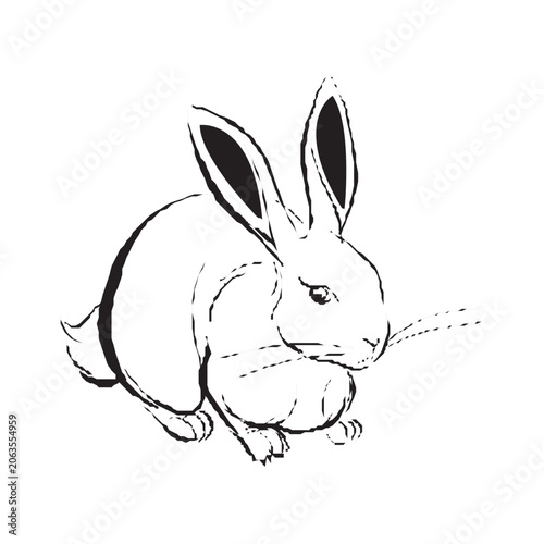 Rabbit