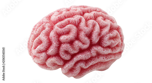 Conceptual image of a large stone in the shape of the human brain