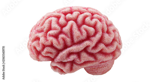 Conceptual image of a large stone in the shape of the human brain
