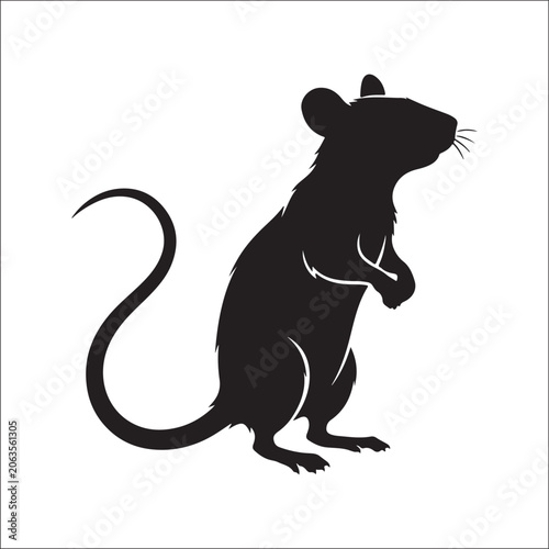 Rat Wildlife Silhouette Vector