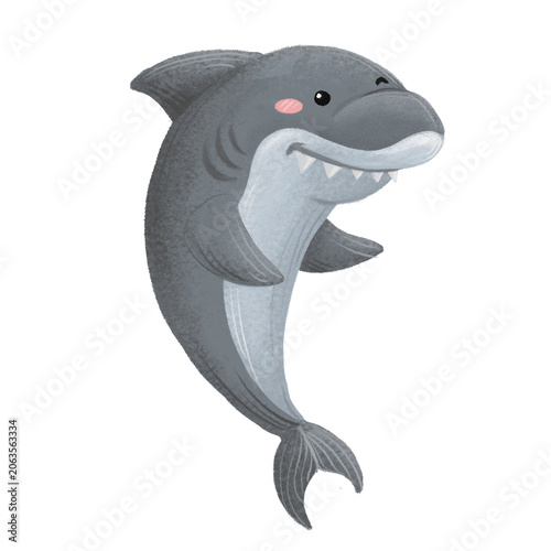 Photography smiling cute shark
