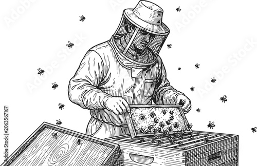 Bilde på lerret Beekeeper in protective suit inspecting a honeycomb frame during apiary work wit