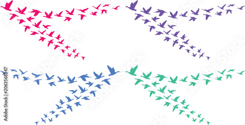 Colorful bird flock vector set, abstract flying birds in vibrant magenta, purple, blue, and teal, dynamic avian migration graphic resource for nature and freedom concepts