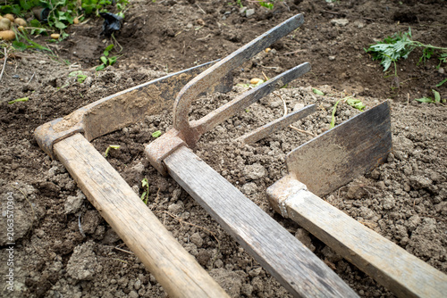 фотографія Garden Fork And Hoe In Soil