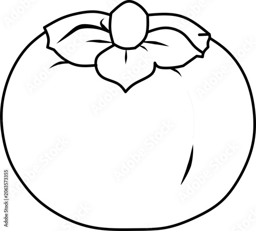 Simple persimmon fruit line art vector illustration featuring whole and cut persimmon. Perfect for coloring books, educational materials, autumn fruit themes, and printable projects.