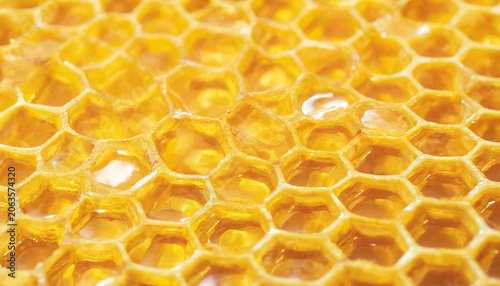 Macro close up view of a golden honeycomb structure with hexagonal cells filled with sweet liquid honey and natural beeswax texture patterns