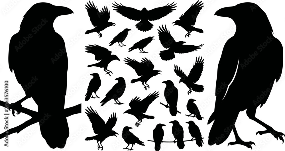 Fototapeta premium Collection of black silhouette birds flying and perched on branch isolated on white background