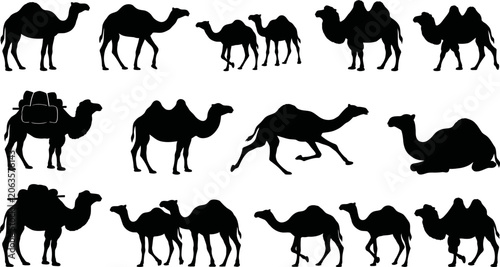 Fotografía Collection of camel silhouettes in various poses and positions on white