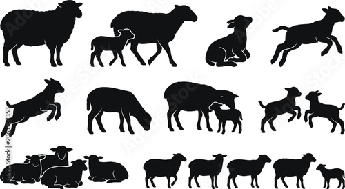 Foto Collection of sheep and goats in various poses and actions silhouettes