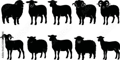 Quadro su tela Set of black silhouettes of sheep and rams in various poses on white background