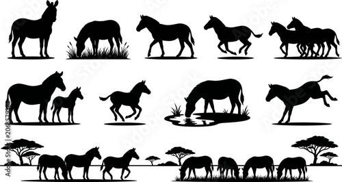 Billede på lærred Silhouette of horses and donkeys in various poses on white background