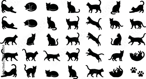 Obraz na plátně Collection of cat silhouettes in various poses and movements on white background