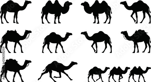 Fotografie Collection of various camel silhouettes in different poses and positions