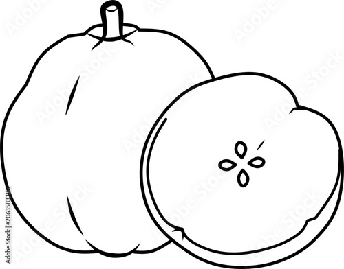 Simple Malay apple line art vector illustration featuring whole and cut fruit. Perfect for coloring books, educational materials, tropical fruit themes, and printable projects.