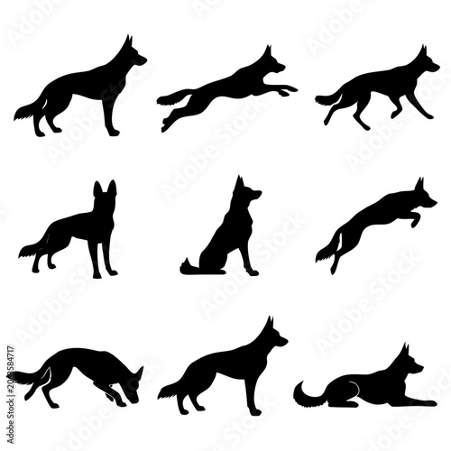 German Shepherd Alert and Running Poses Vector Silhouettes illustration