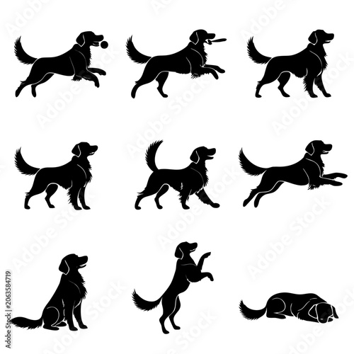 Golden Retriever Playing and Standing Poses Vector Silhouettes illustration