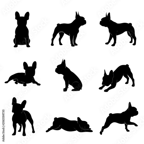 French Bulldog Sitting and Walking Poses Vector Silhouettes illustration