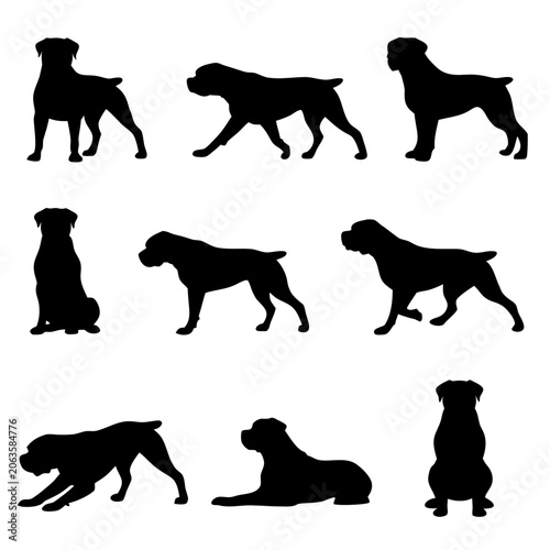 Rottweiler Guarding and Walking Poses Vector Silhouettes illustration