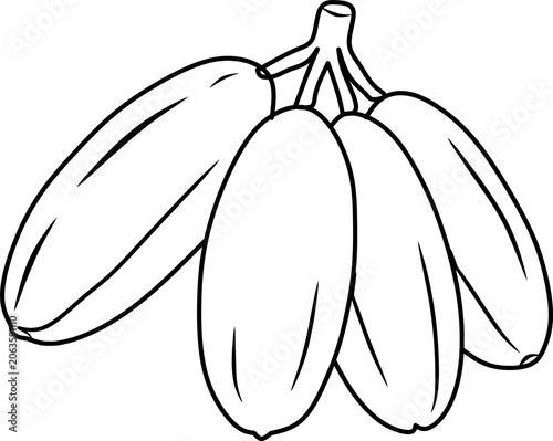 Simple bilimbi fruit line art vector illustration featuring whole and sliced bilimbi. Perfect for coloring books, educational materials, tropical fruit themes, and printable projects.